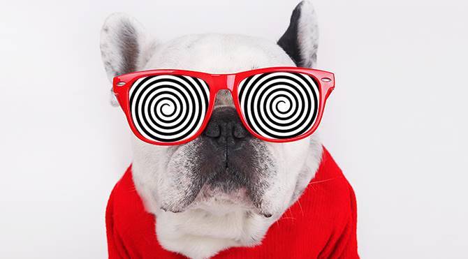 Гипнолог - гипноз Минск - Россия - ОАЭ - Тайланд